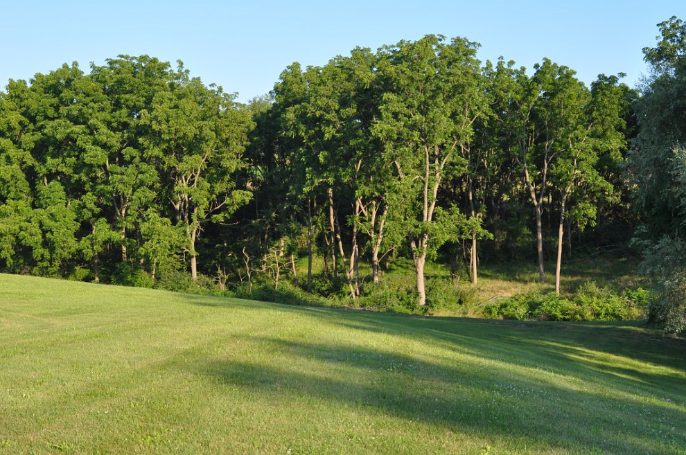 Perazzi Cup 2011_143.JPG